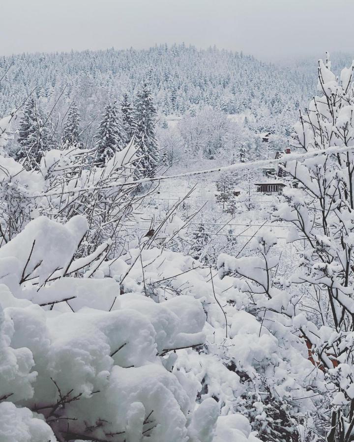 Zabava Yaremche Exterior foto