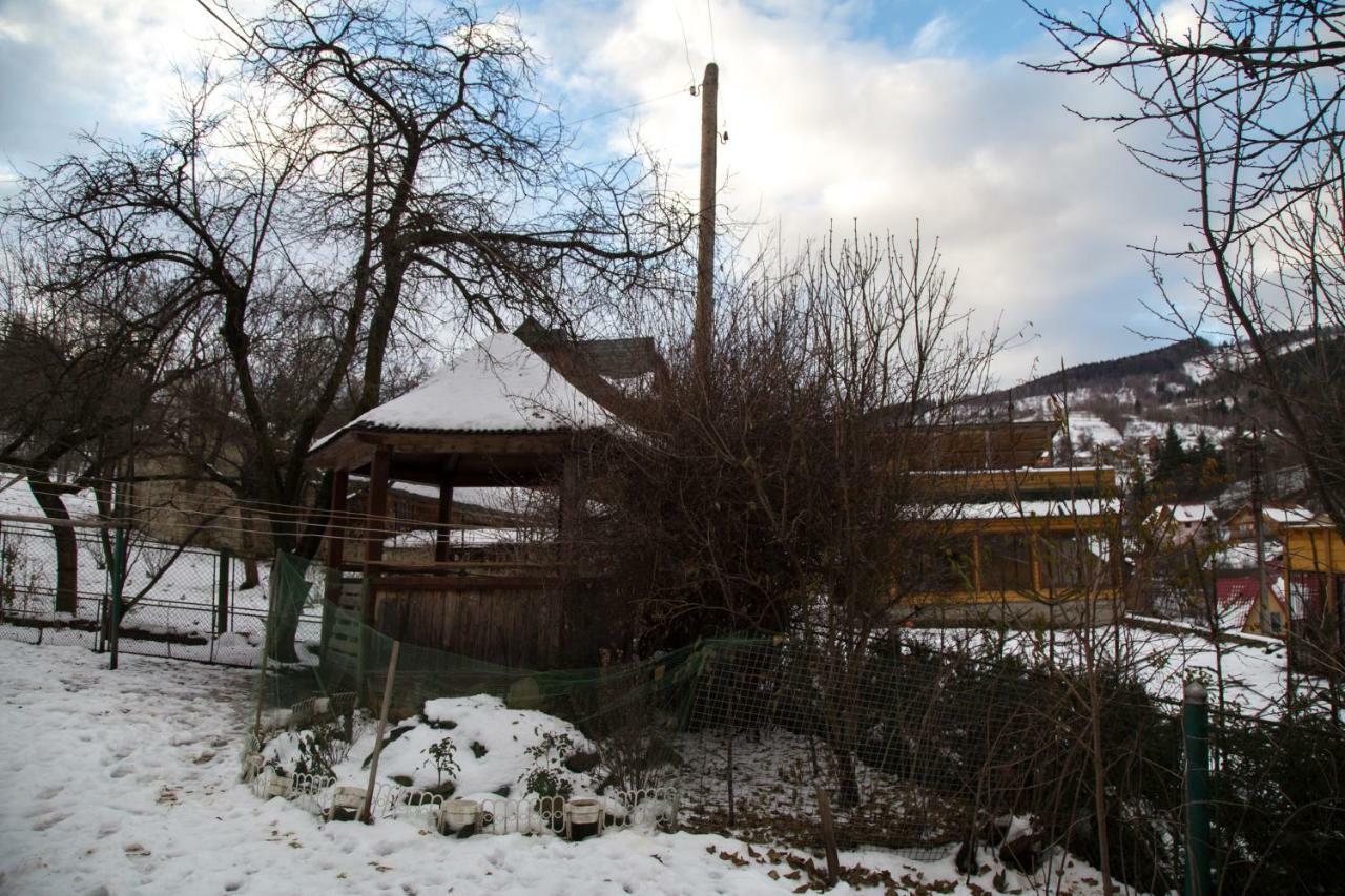 Zabava Yaremche Exterior foto